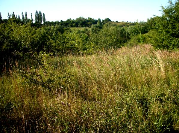 Niemiecki obĂłz koncentracyjny KL Plaszow fot. 9.JPG