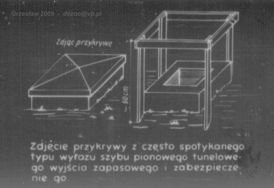 4000 dpi - 100 procent003.jpg