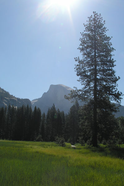 PĂłÂłkopuÂła - Yosemite, CA